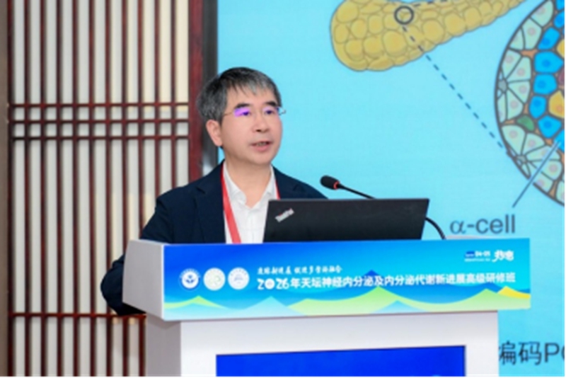 2026年天坛神经内分泌及内分泌代谢新进展高级研修班 - 副本728.jpg