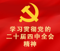 学习贯彻党的二十届四中全会精神