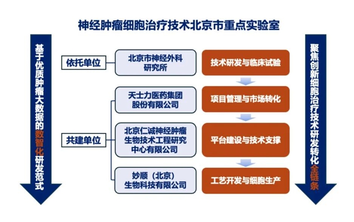 聚焦神经肿瘤细胞治疗 北京市神经外科研究所获批重点实验室